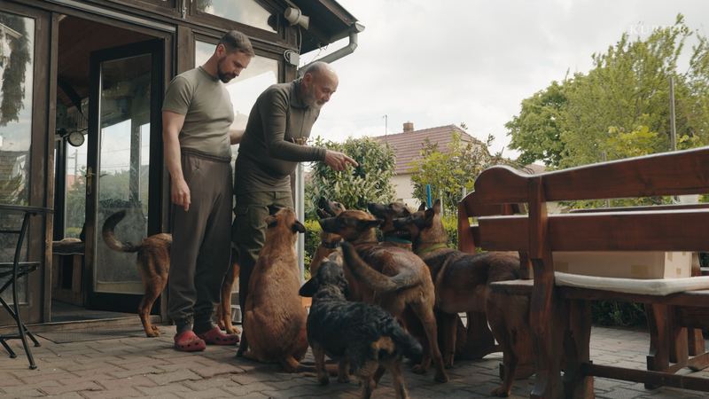 Beide füttern die Hunde auf der Terrasse
